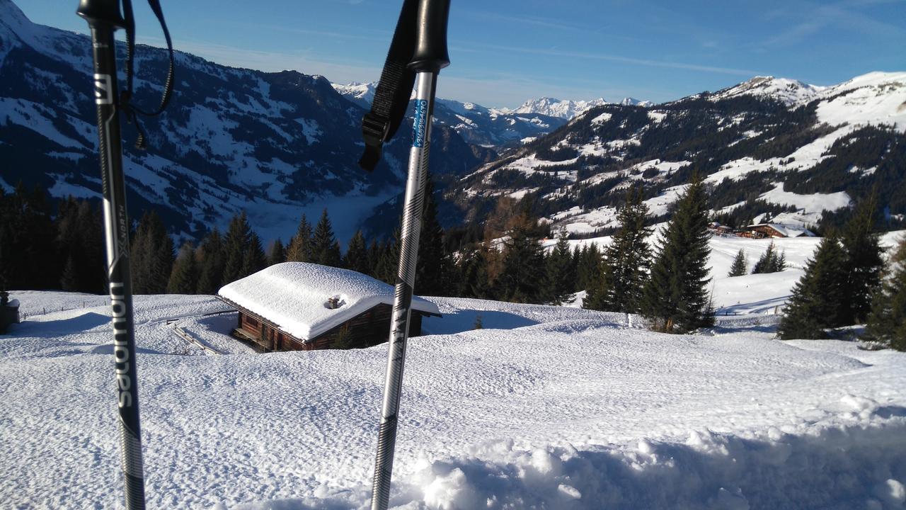 Haus Mauberger Dorfgastein Dış mekan fotoğraf